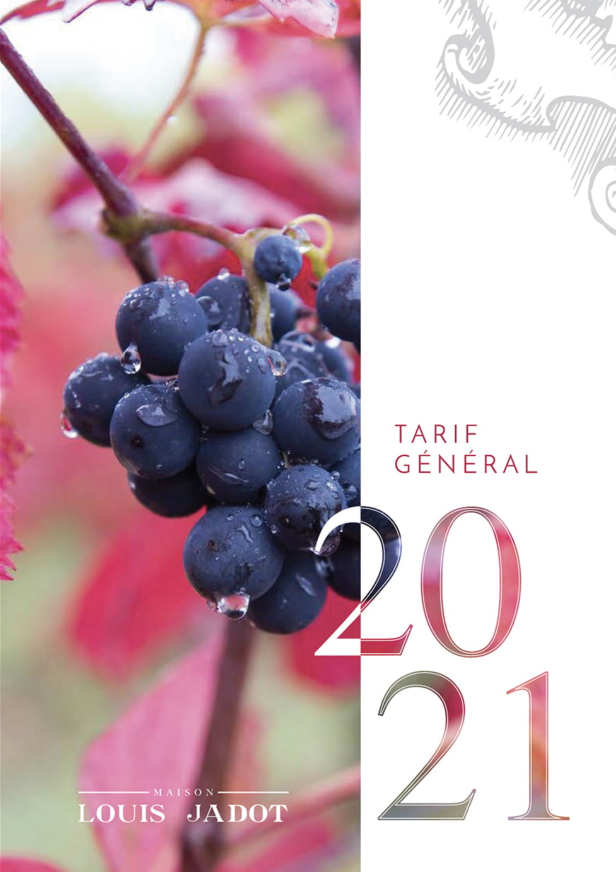 Maison Louis Jadot Identité visuelle Agence Ambigram